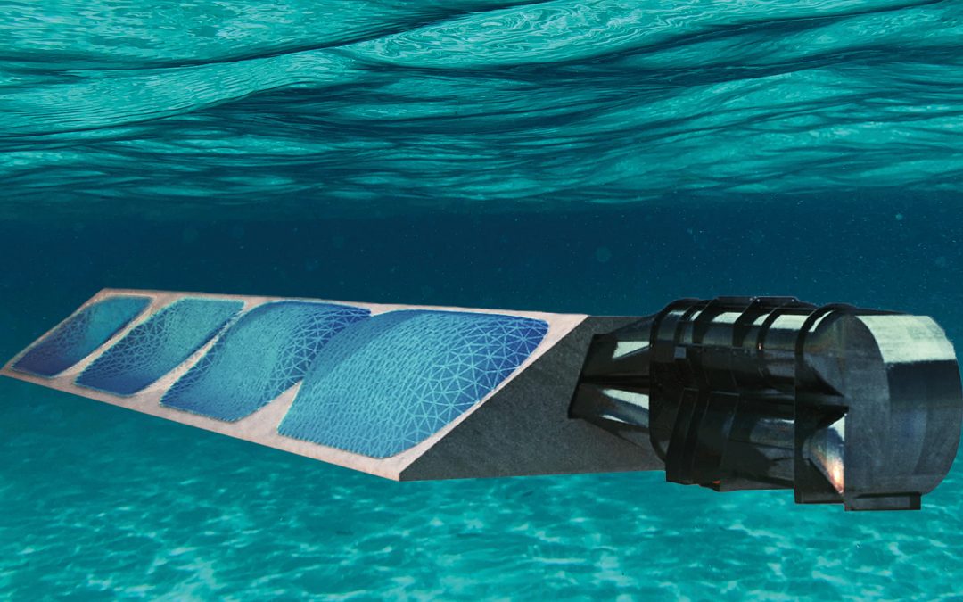 2019 Capacity Increase Propels Wave Energy Market Growth